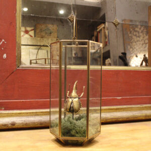 lanterna in vetro e ferro con riproduzione di scarabeo dorato