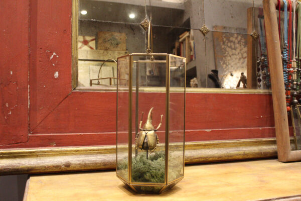 lanterna in vetro e ferro con riproduzione di scarabeo dorato